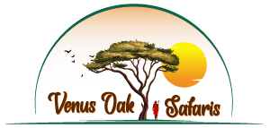 Venus Oak Safaris