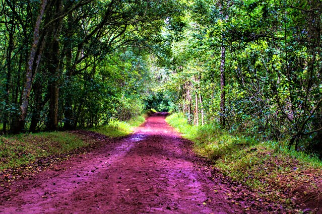 Low-Budget Places to Visit in Nairobi