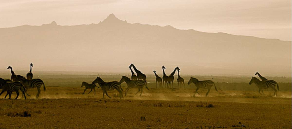 Is Ol Pejeta Worth Visiting?