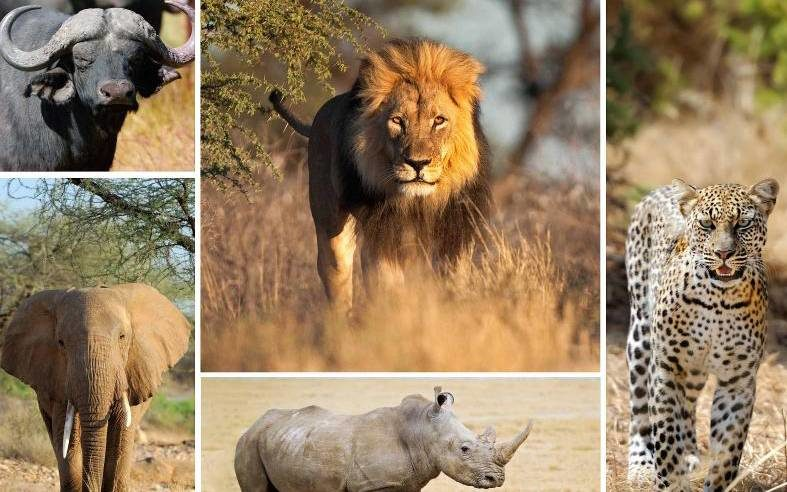 Is Ol Pejeta Worth Visiting?