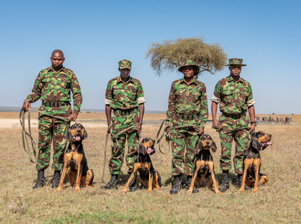Is Ol Pejeta Worth Visiting?