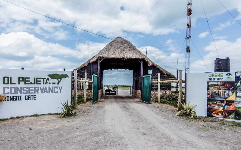 Is Ol Pejeta Worth Visiting?